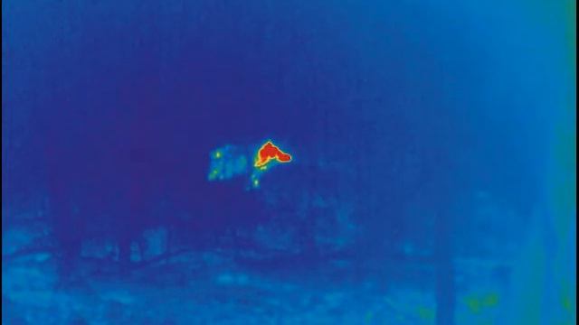 Охота на кабана.Везучий секач. В тепловзоре pulsar helion 38XQ смотреть онлайн