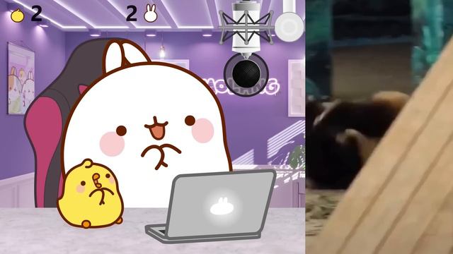 Best Friends Takes The Try Not To Laugh Challenge | If You Laugh You Lose 🤣