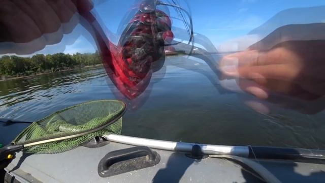 Добавил эти Капли и Чехонь Взбесилась. Рыбалка на Волге 2021. Ловля Леща и Чехони на кольцо