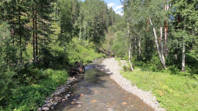Горная река "Муны". Горный Алтай лето 2021г. Mountain river "Muny". Mountain Altai summer 2021. смотреть онлайн
