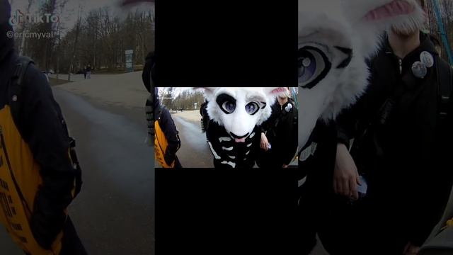 Фурри из тт 12 часть смотреть онлайн