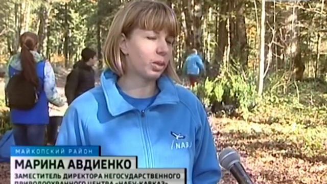 В Майкопском районе прошла очередная акция по высадке саженцев самшита колхидского смотреть онлайн