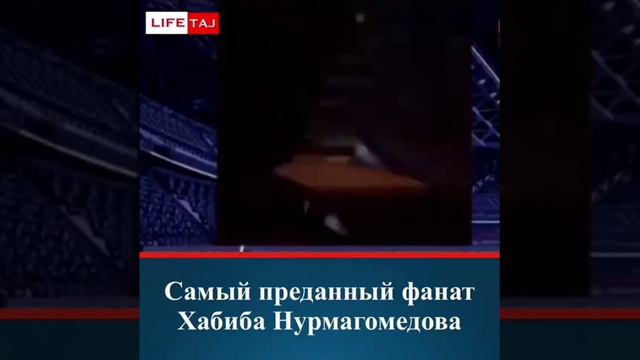 Самый преданный фанат Хабиба Нурмагомедова смотреть онлайн