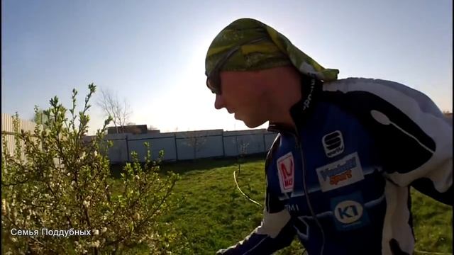 Как ЗАМАНИТЬ ПЧЕЛ в САД! Опрыскиваю сад медом! смотреть онлайн