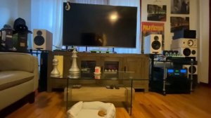 DALI Oberon 3 VS TRIANGLE bro3 VS  ELAC Reference?????