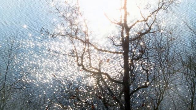 `Expansion `Project` ~ Harmonic Overtone Singing Jim Cole, John Boiano, & Christopher Cameron. смотреть онлайн