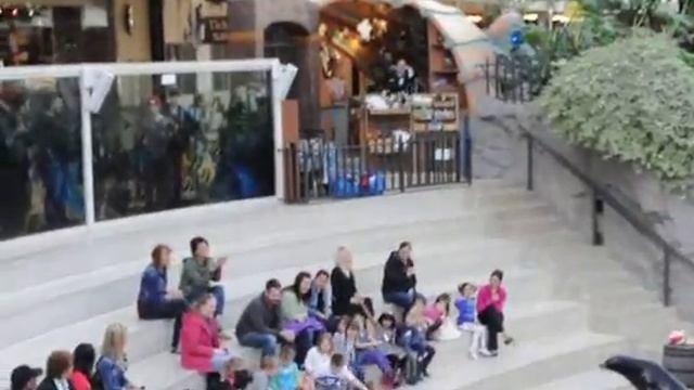 Выступление морских котиков. Торговый центр. Эдмонтон. Канада. Seal show in Edmonton Mall Canada. смотреть онлайн