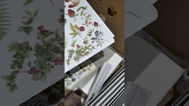 #распаковка смотреть онлайн