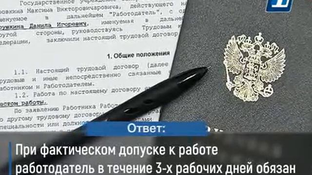 Прокуратура разъясняет 13 1 работодатель отказывает в оформлении смотреть онлайн