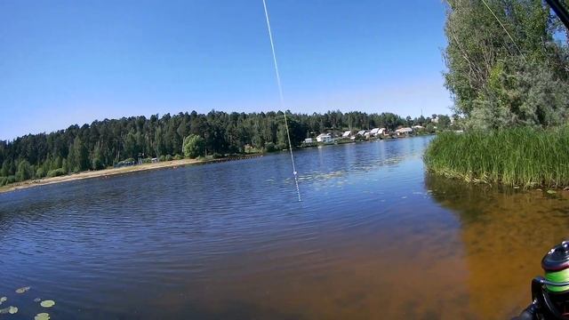 Ловля щуки и окуня в июне на воблеры и джиг. смотреть онлайн