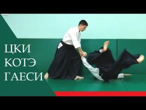 Цки - котэ гаеси