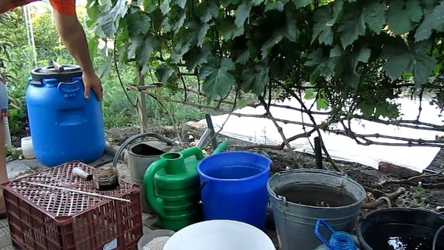 Полив + подкормка винограда смотреть онлайн