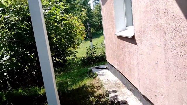 Выкапываем картошку.Вместе веселей!#огород#дача#томаты#теплица смотреть онлайн