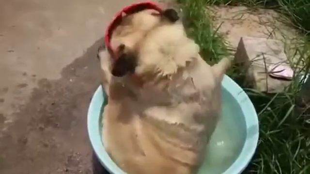 Жарааа ).mp4 смотреть онлайн