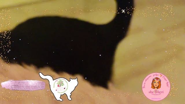 ? спинальник Тедди Рузвельт взял вечер в свои лапки ?? смотреть онлайн