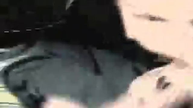 House Of Pain - Shamrocks And Shenanigans (Butch Vig Mix)