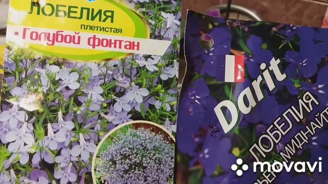 Сроки посева семян. смотреть онлайн