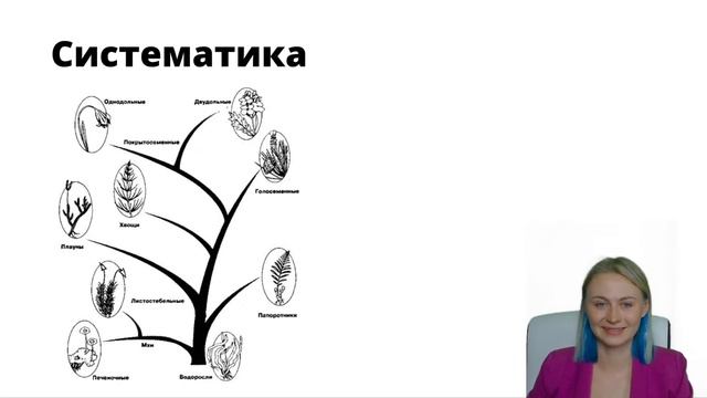 Биология как наука | ЕГЭ по биологии | Ксения Напольская | 100балльный репетитор смотреть онлайн