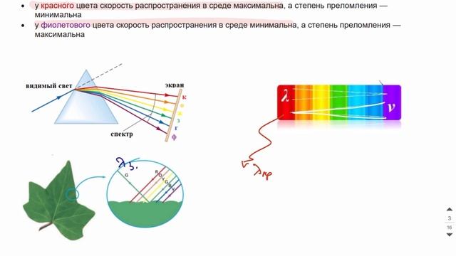 ОПТИКА Теория-3 Физика ЕГЭ 2024 смотреть онлайн