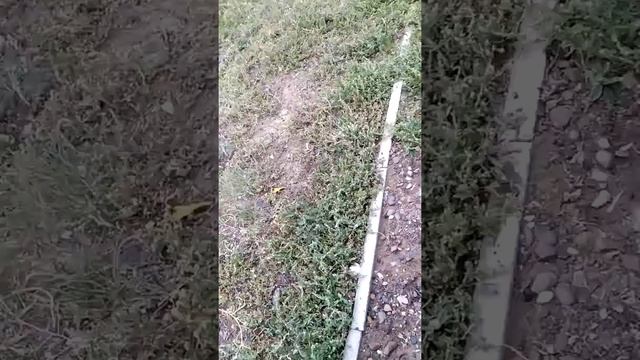 ОБЗОР НА САМЫЙ ВКУСНЫЙ ХЛЕБ В МИРЕ!!! БОРЬБА ЗА ХЛЕБ!! ВКУСНАТИЩААА смотреть онлайн