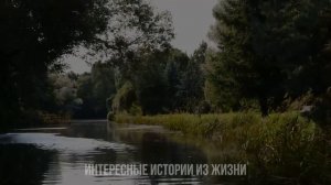 ДАЛА ПОПРОБОВАТЬ ПРЯМО ПРИ МУЖЕ. Жизненные истории и аудио рассказы про любовь