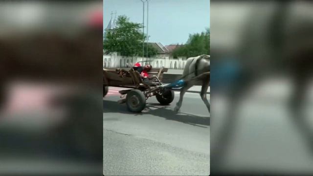 DRUNK RUSSIAN  (Russians Being Drunk ) Compilation