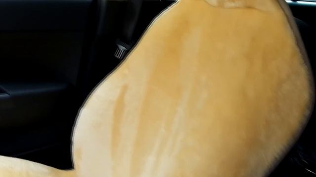 АВТОТОВАРЫ С ALIEXPRESS / 5 КРУТЫХ АВТОМОБИЛЬНЫХ ВЕЩЕЙ С КИТАЯ смотреть онлайн