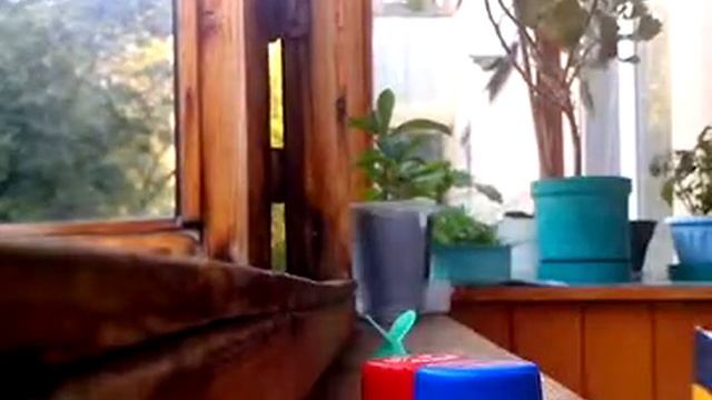 Как сделать самодельную лейку? смотреть онлайн