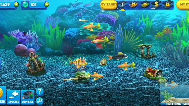 Fish Tycoon 2 Virtual Aquarium - Android Gameplay #3 | Fish Game | смотреть онлайн