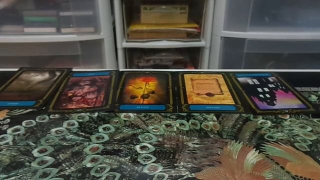 Create Your Amazing Life (My Year Oracle Reading!) смотреть онлайн