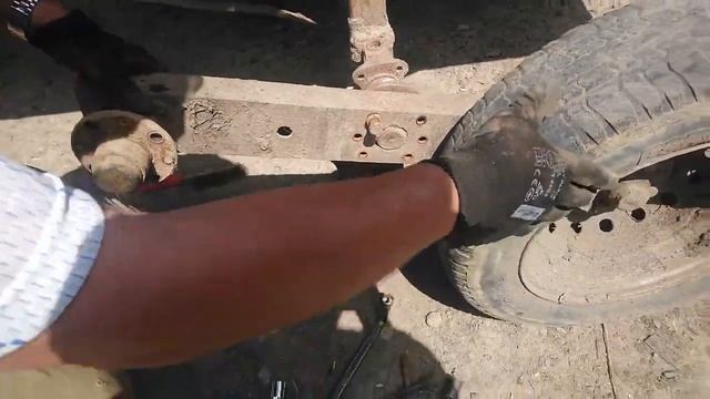 Трьохосна фіра