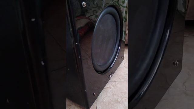 Subwoofer activo 10" Puré Acoustics SN-10SUB смотреть онлайн
