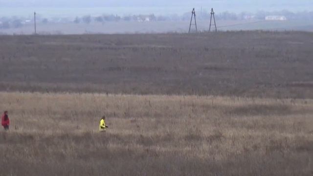 1107 (30) Английский Пойнтер Эмиль Садовников В.И. смотреть онлайн