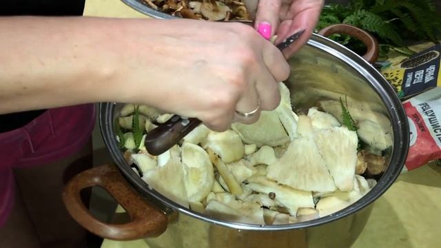 Фитнес и Тренировки