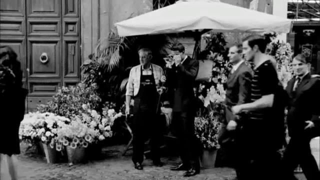 MARTINI GOLD By DolceGabbana
