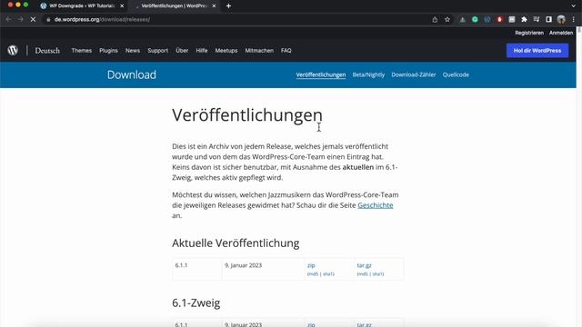 WordPress Update Problem | Version wieder zurücksetzen смотреть онлайн