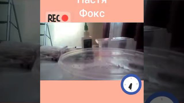 Слайм из клея пва-м луч смотреть онлайн