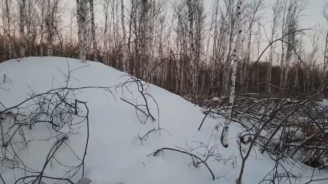 Охота на трофейного бобра и не очень))) 2022 смотреть онлайн