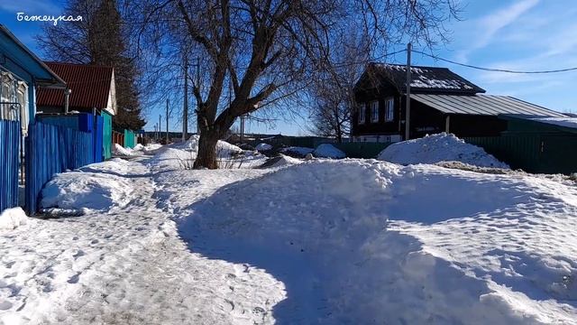 Сюрпризы природы. Канал "Дорога к фильму - Road to film." Купила пистолет на OZON мышам конец смотреть онлайн