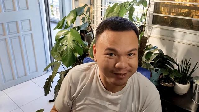 Unboxing Plants from Indonesia || PlanTito Does Things смотреть онлайн