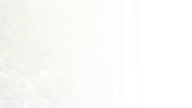 Нейропротекторное действие розмарина в отношение мозга и седалищного нерва. смотреть онлайн