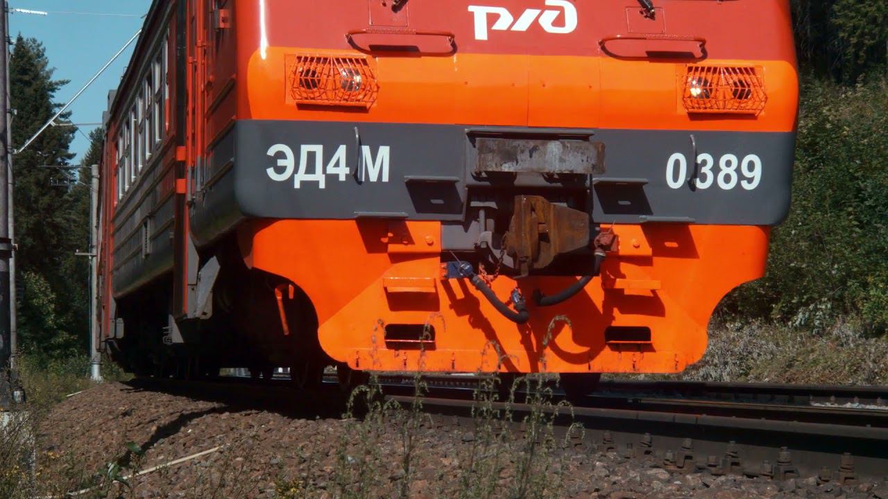 Природа Токсовских высот