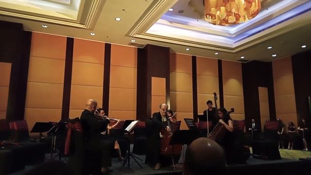 Vocalise by Sergei Rachmaninoff adapted for cello solo смотреть онлайн