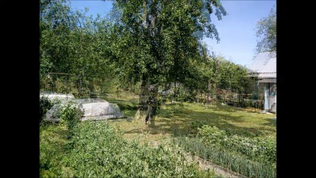 2021 как менялся сад 2 смотреть онлайн