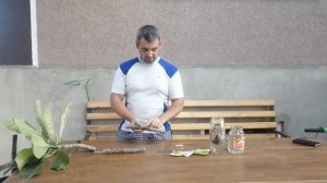 Как обрезать плюмерию в домашних условиях.