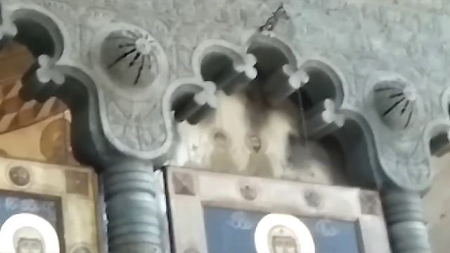 Грузия: город Мцхета - храм Светицховели и монастырь Самтавро, часть 2 საქართველო смотреть онлайн