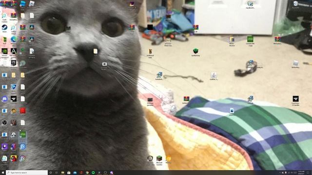 How to race against leaderboard players in TrackMania Nations Forever смотреть онлайн