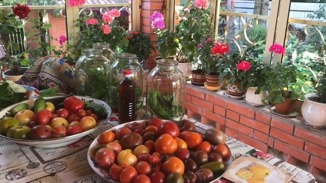 Мастер интерьерной чистки