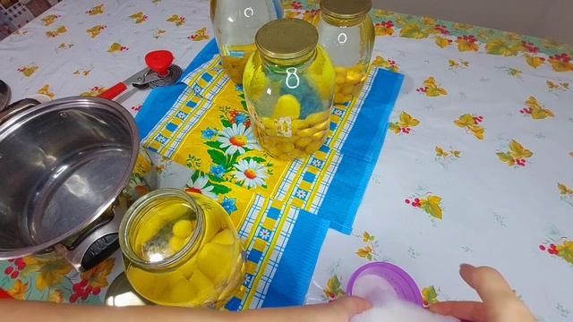 ӨРІКТЕН КОМПОТ. КОМПОТ ИЗ АБРИКОСОВ. Apricot compote смотреть онлайн