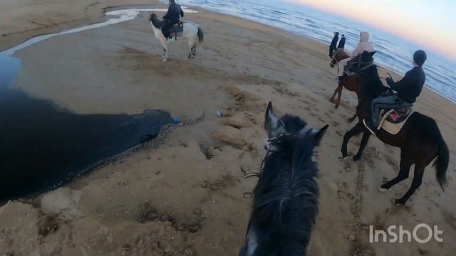 Прогулка на лошадях по берегу Каспия! смотреть онлайн